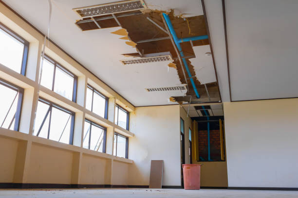 Best Water damage restoration near me  in Edgewood, OH