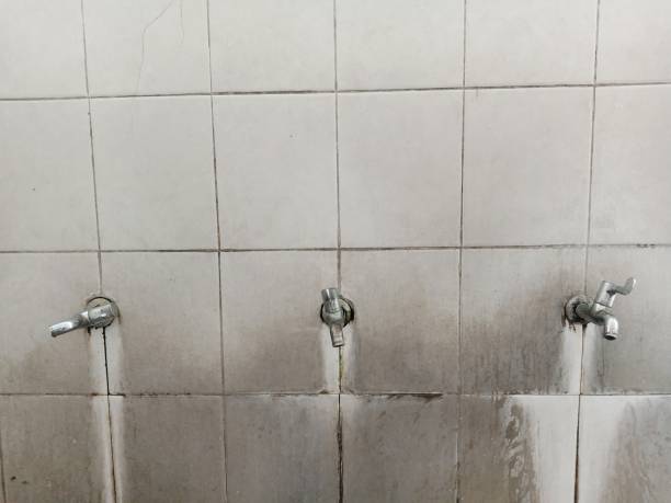 Best 24-hour water damage restoration  in Edgewood, OH