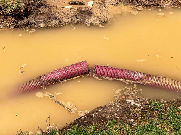 Best Carpet water damage restoration  in Edgewood, OH